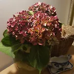 Foresteria Margherita Gasthof