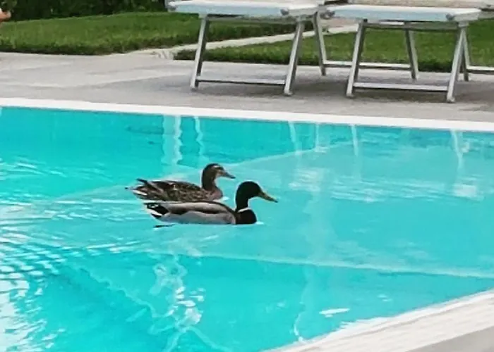 Foresteria Margherita Colico