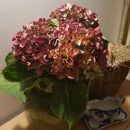 Foresteria Margherita Affittacamere