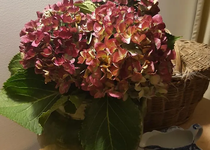 Foresteria Margherita Guest house