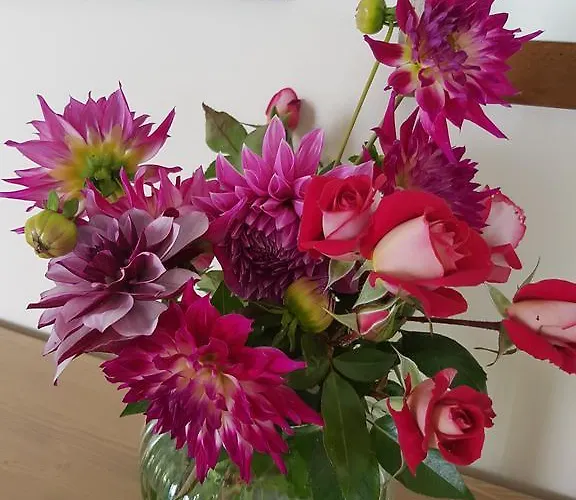 Foresteria Margherita 4* Colico