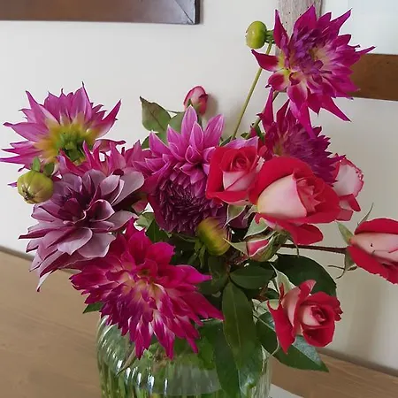 Foresteria Margherita 4* Colico