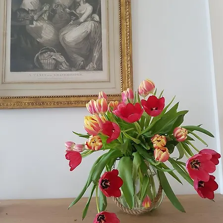 Foresteria Margherita